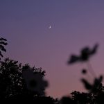 秋のゆうさんぽ(写真さんぽ・秋5)