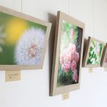 写真展終了しました